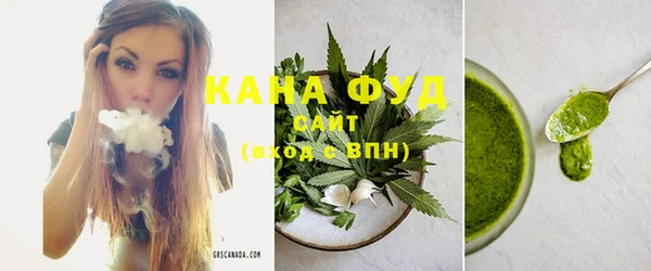 spice Гусев