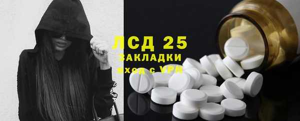 spice Гусев