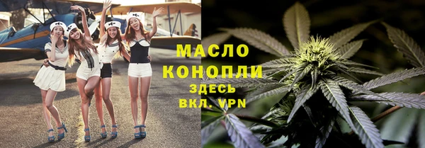 spice Гусев