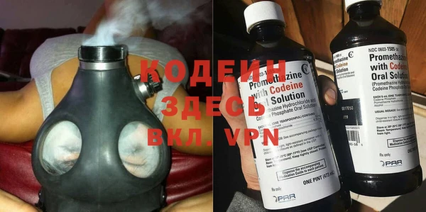 spice Гусев