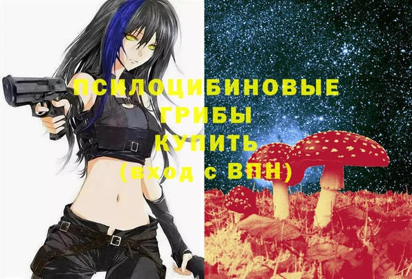 mdma Гусь-Хрустальный