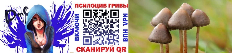 Купить закладки  Мончегорск  Галлюциногенные грибы мухоморы 